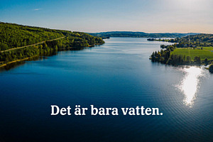 Stilla vatten i en älv omgiven av grön natur.